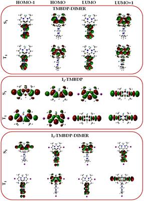 Can BODIPY Dimers Act as Photosensitizers in Photodynamic Therapy? A Theoretical Prediction